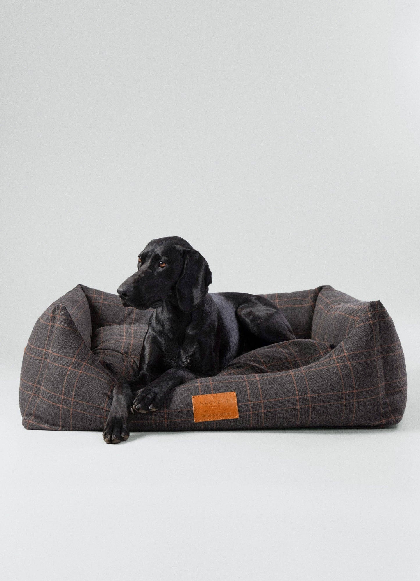 Dog relaxing in tweed dog bed medium sized