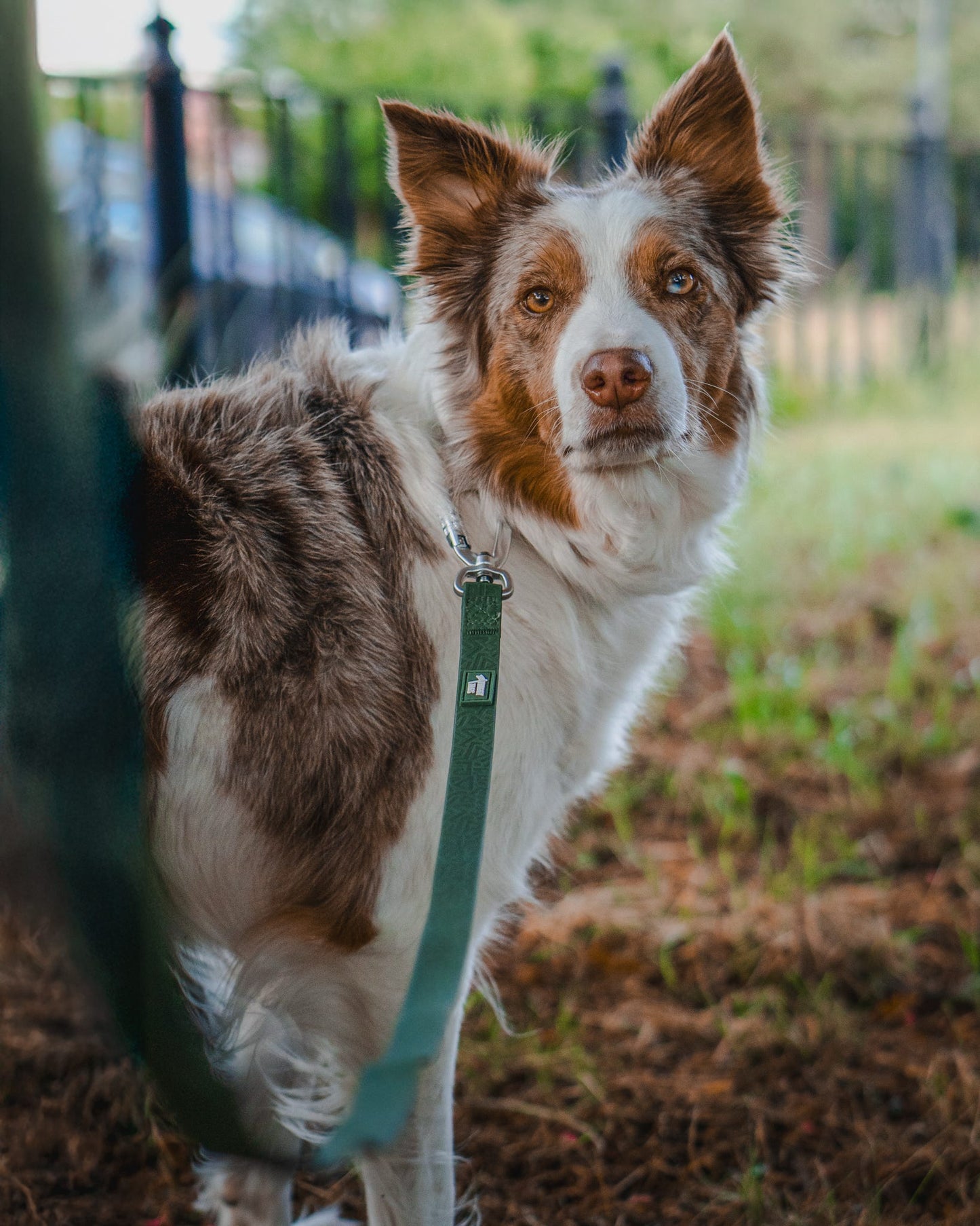 Twiggy Tags Tidal Waterproof Lead