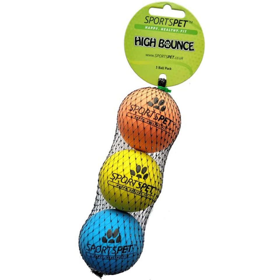 A pack of 3 SportsPet balls for dogs