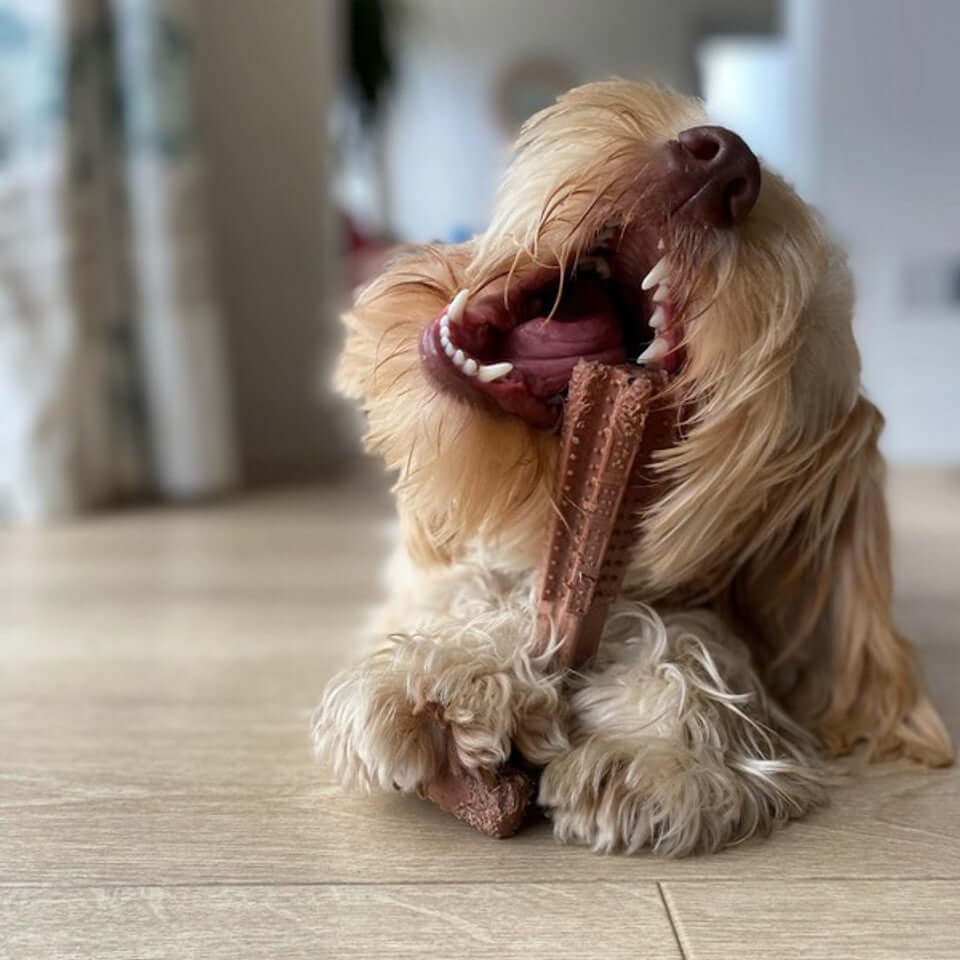 Bamboodles T Bone Chew Toy Chicken Flavour