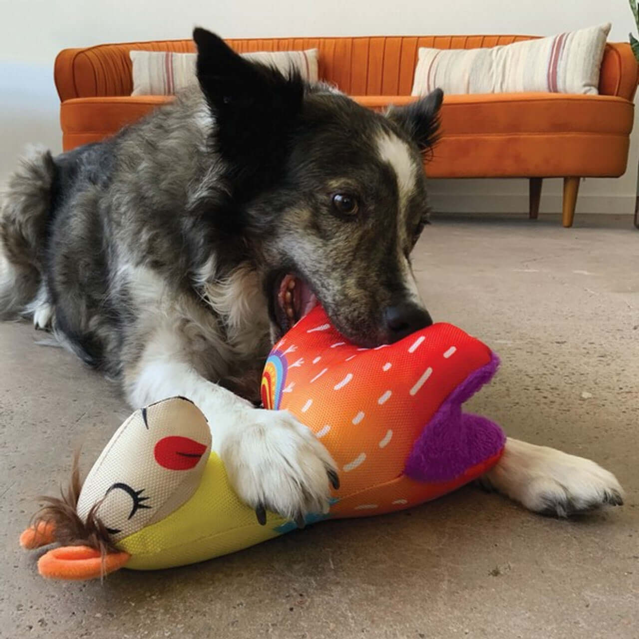 KONG Ballistic Vibez Llama Assorted Small/Medium