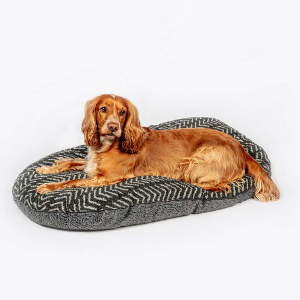 Dog laying on a grey fleece mattress