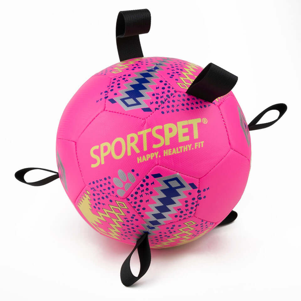 sports pet tab football size 4