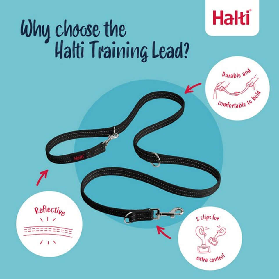 CoA Halti Training Lead Black Large