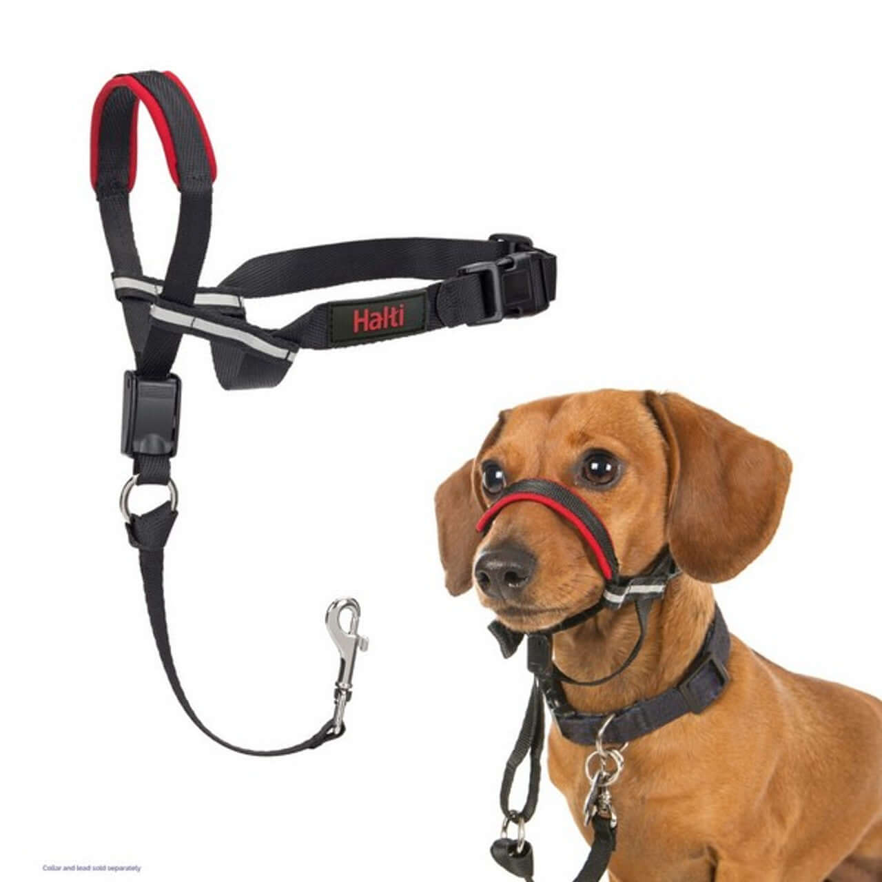 halti optifit headcollar for dogs