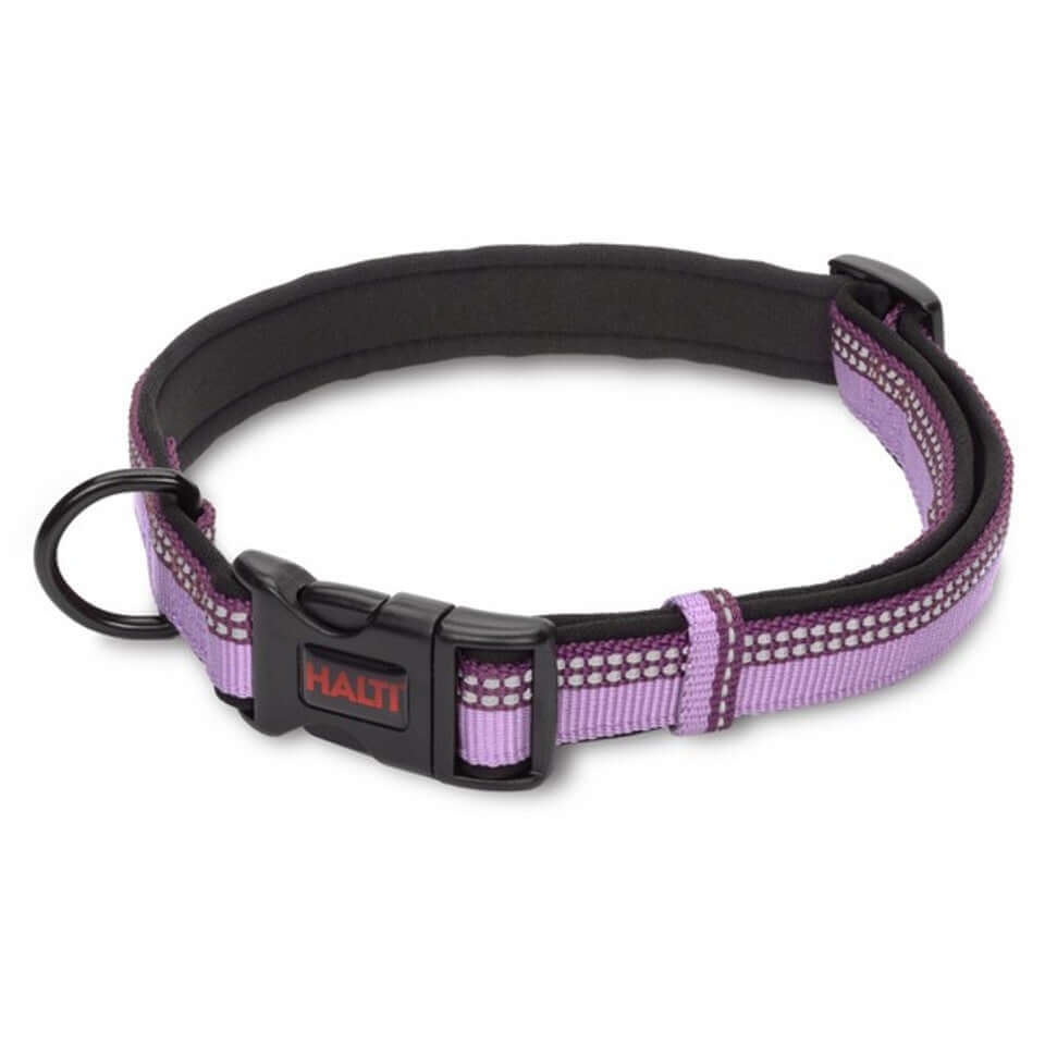 Halti dog collar in purple
