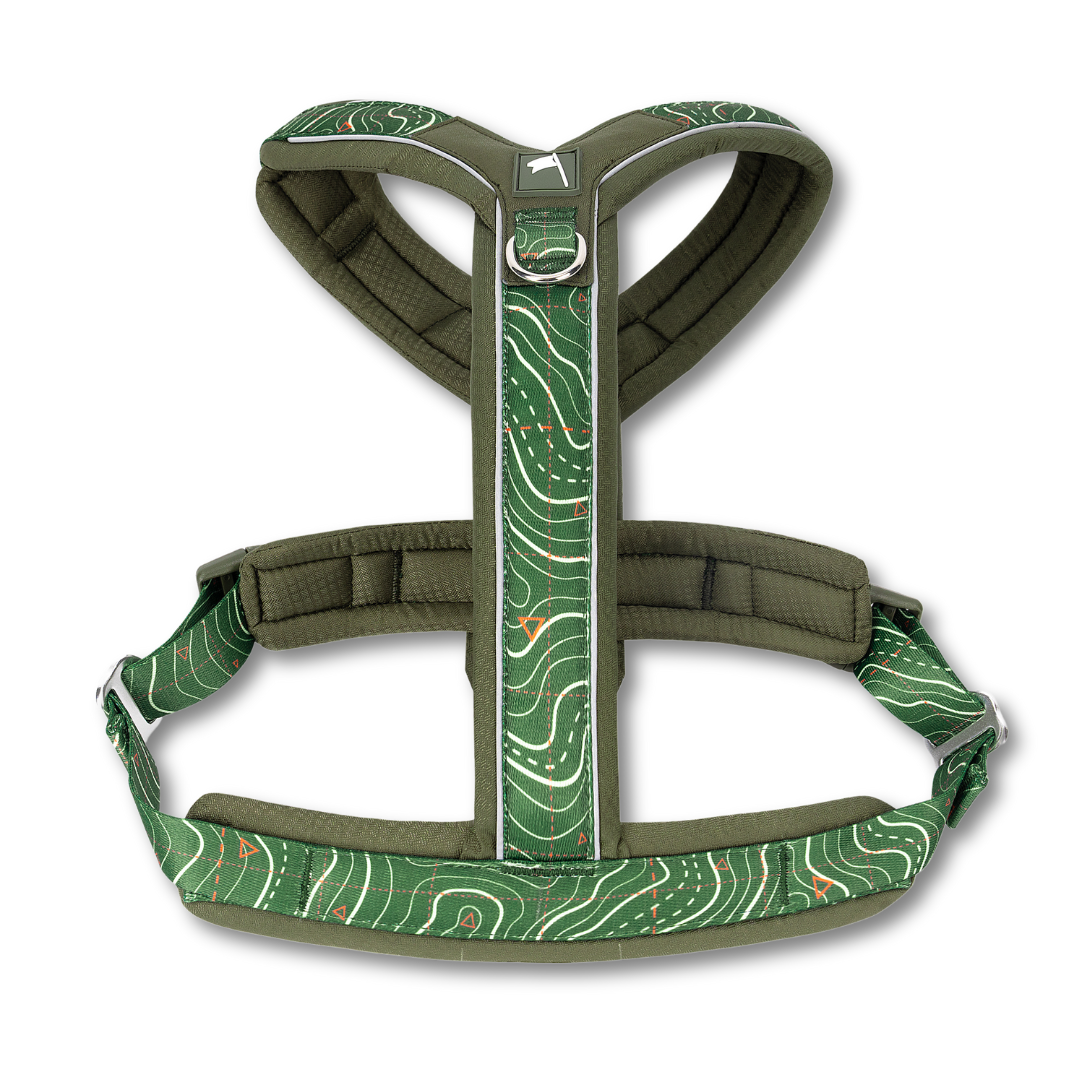 Apex Harness - Nomad