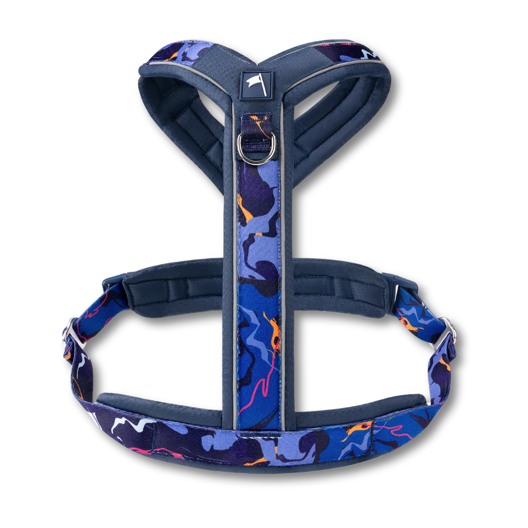 Apex Harness - Nebula