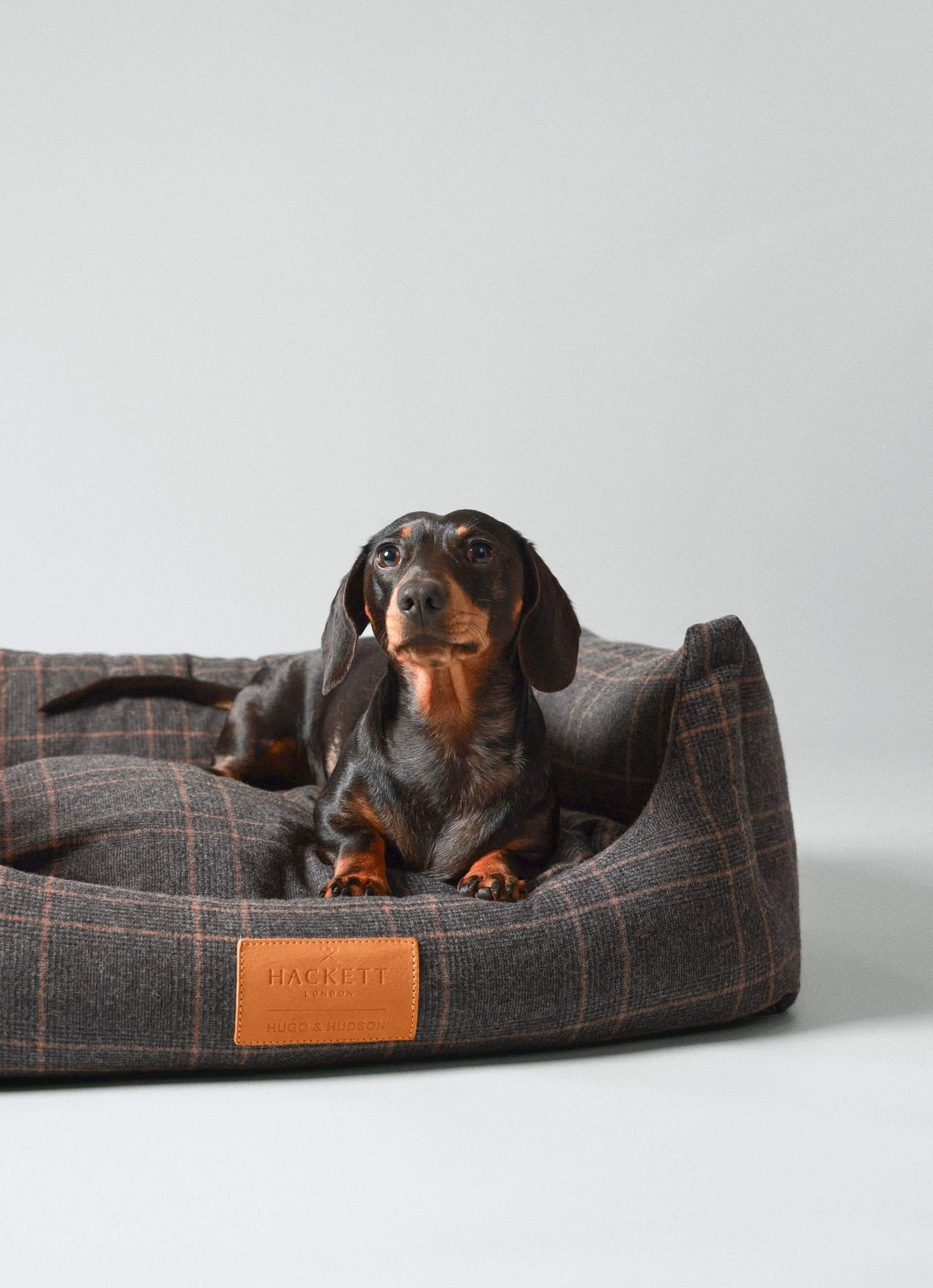 Close up of tweed fabric dog bed with dog in it