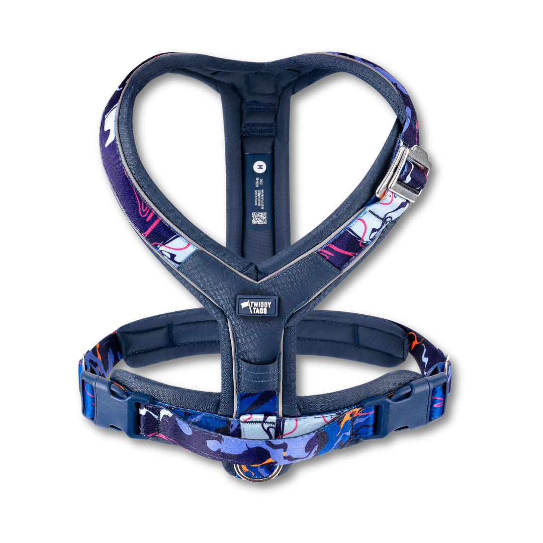 Apex Harness - Nebula