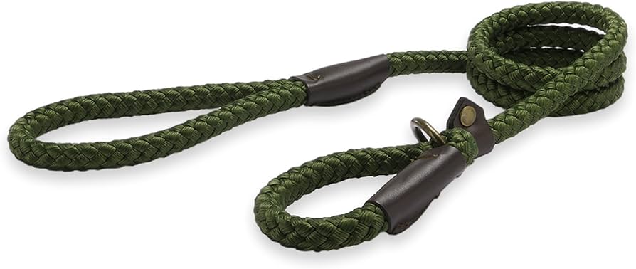 A green rope slip lead for dogs