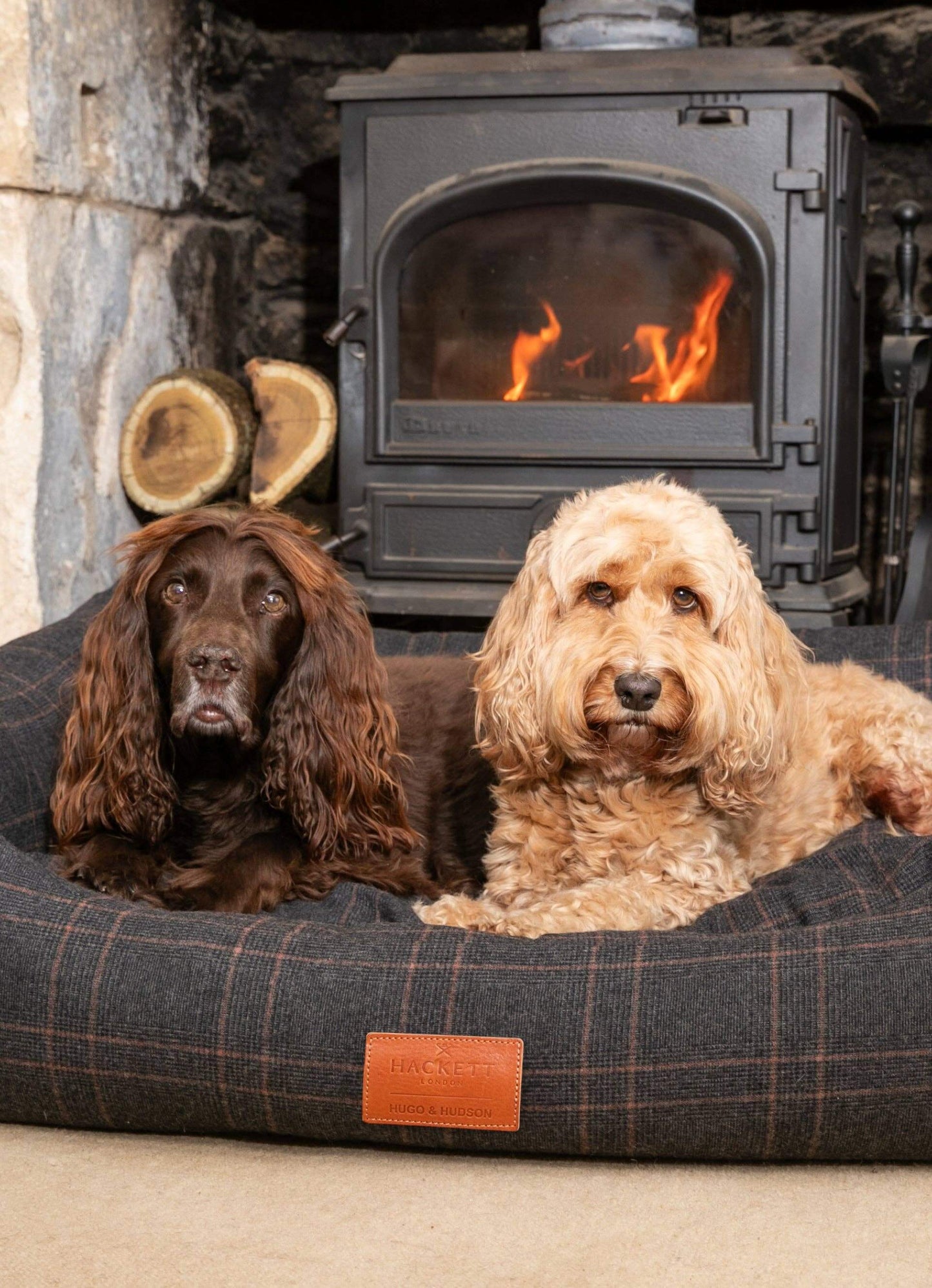 Lifestyle shot of dogs in tweed dog bed