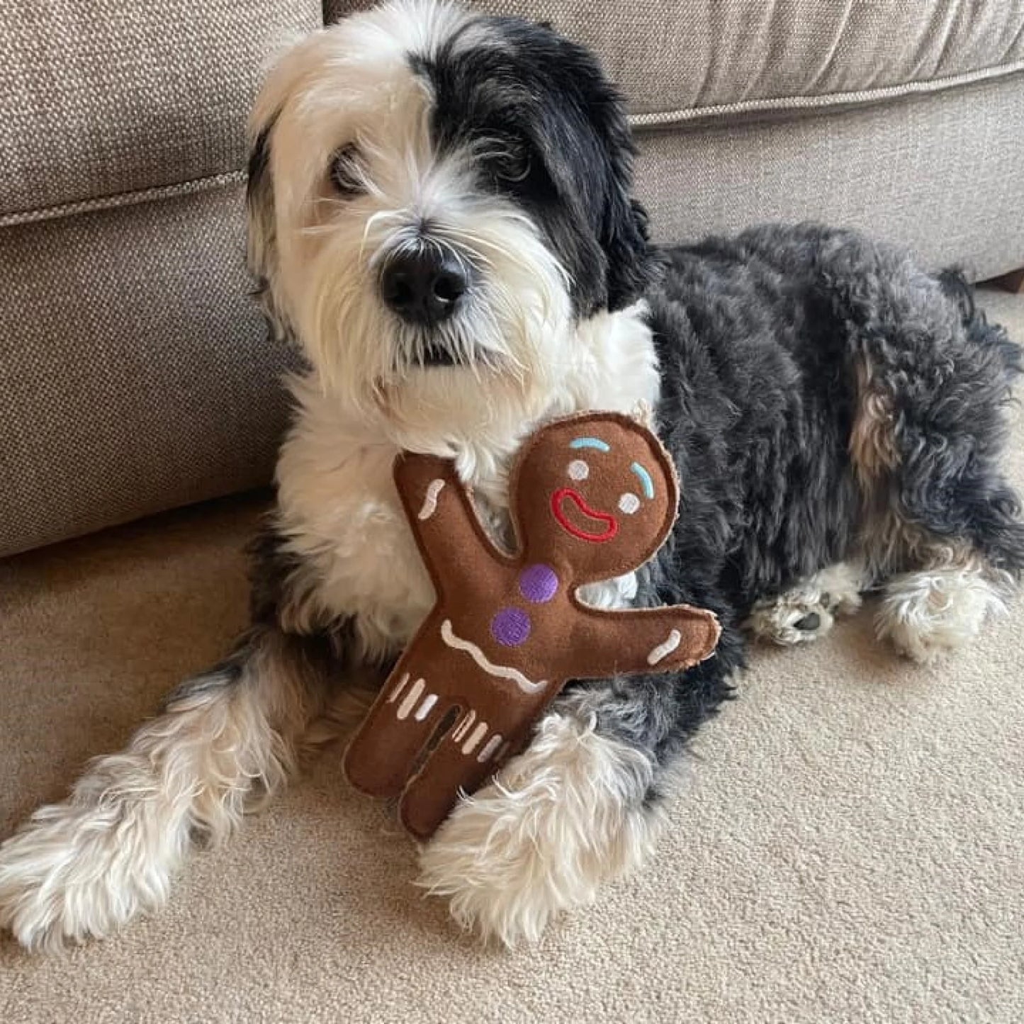 Jean Genie the Gingerbread Person, Eco Dog Toy