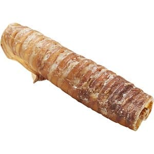 trachea dog chew