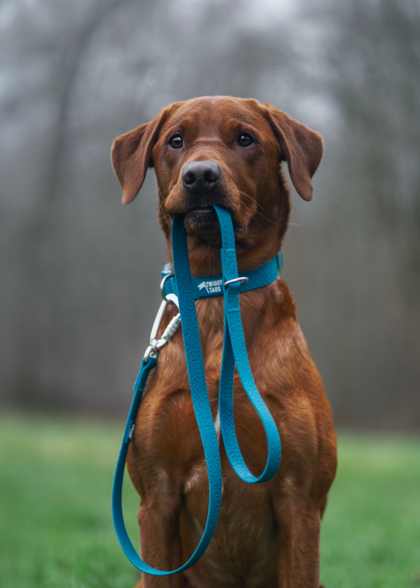 Twiggy Tags Tidal Waterproof Lead