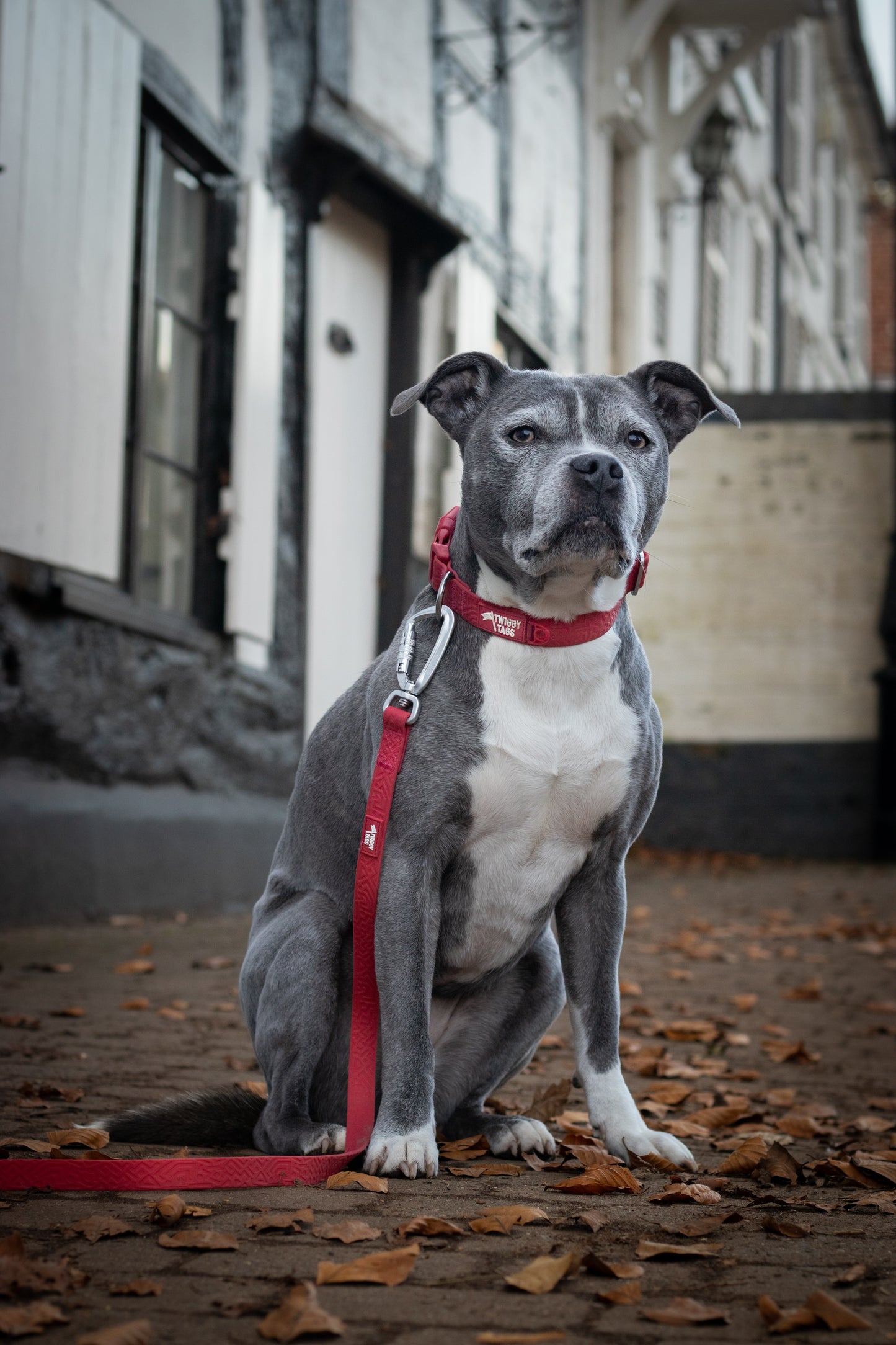 Twiggy Tags Tidal Waterproof Lead