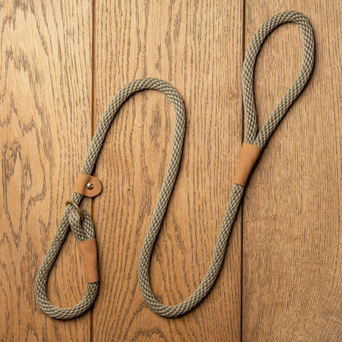 Ruff & Tumble Clip & Slip Leads