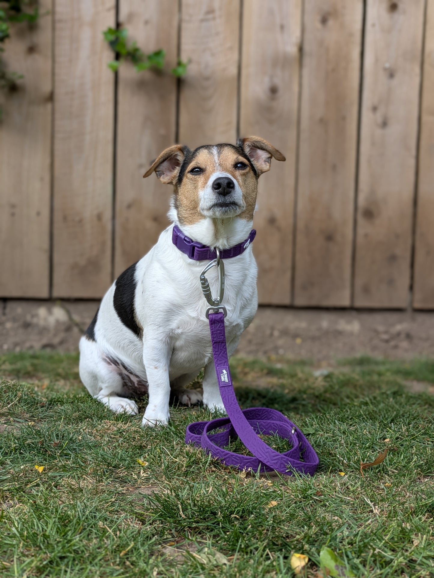 Twiggy Tags Tidal Waterproof Lead