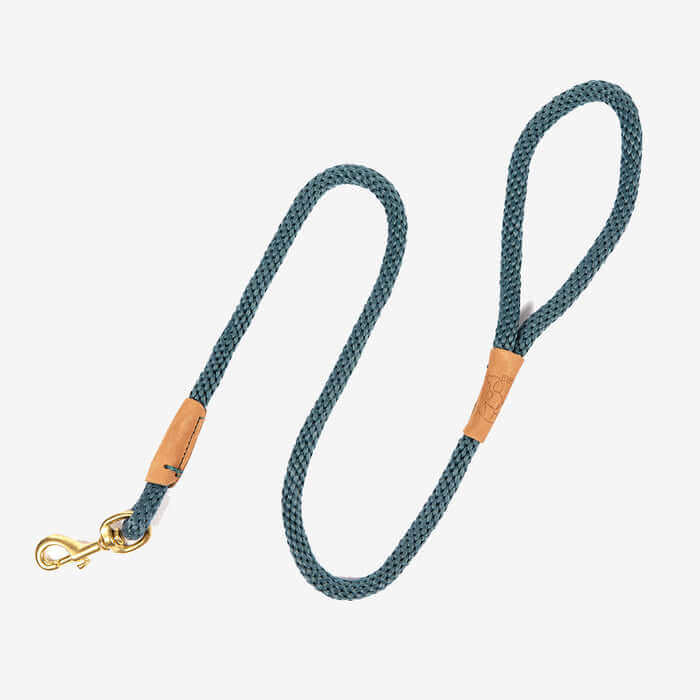 Ruff & Tumble Clip & Slip Leads