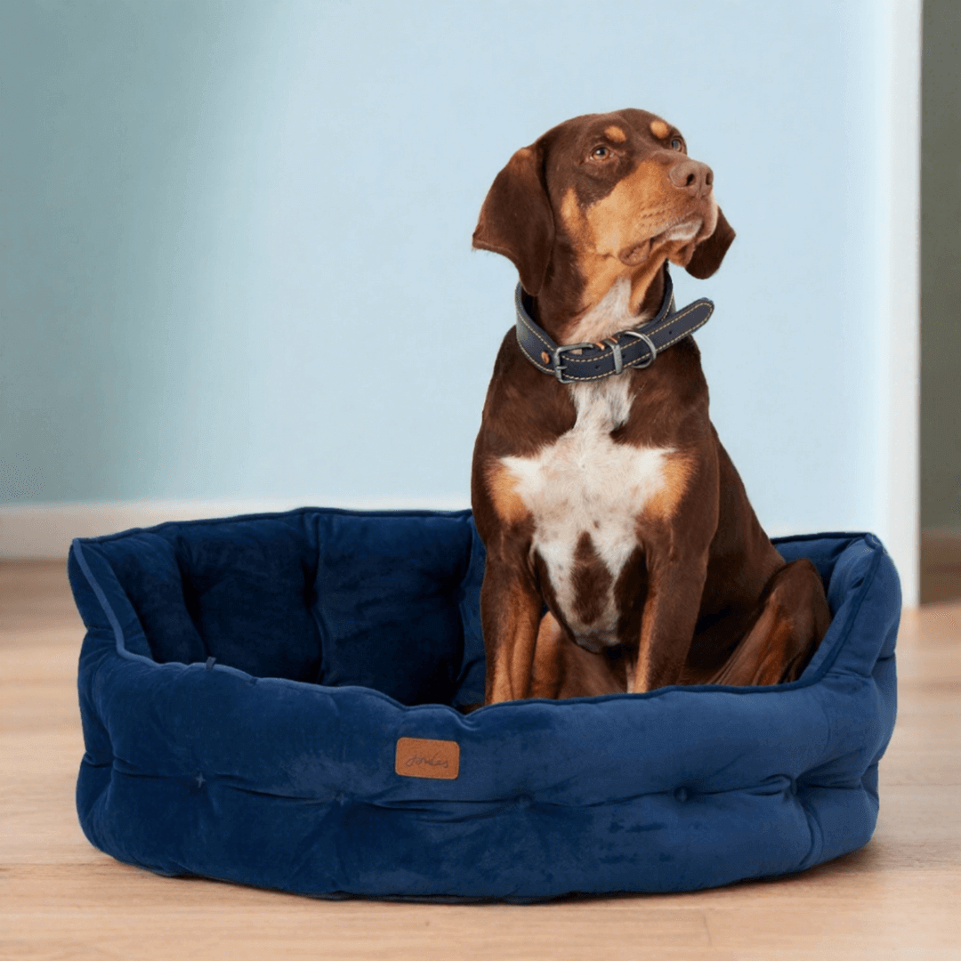Joules Chesterfield Dog Bed - Navy Large