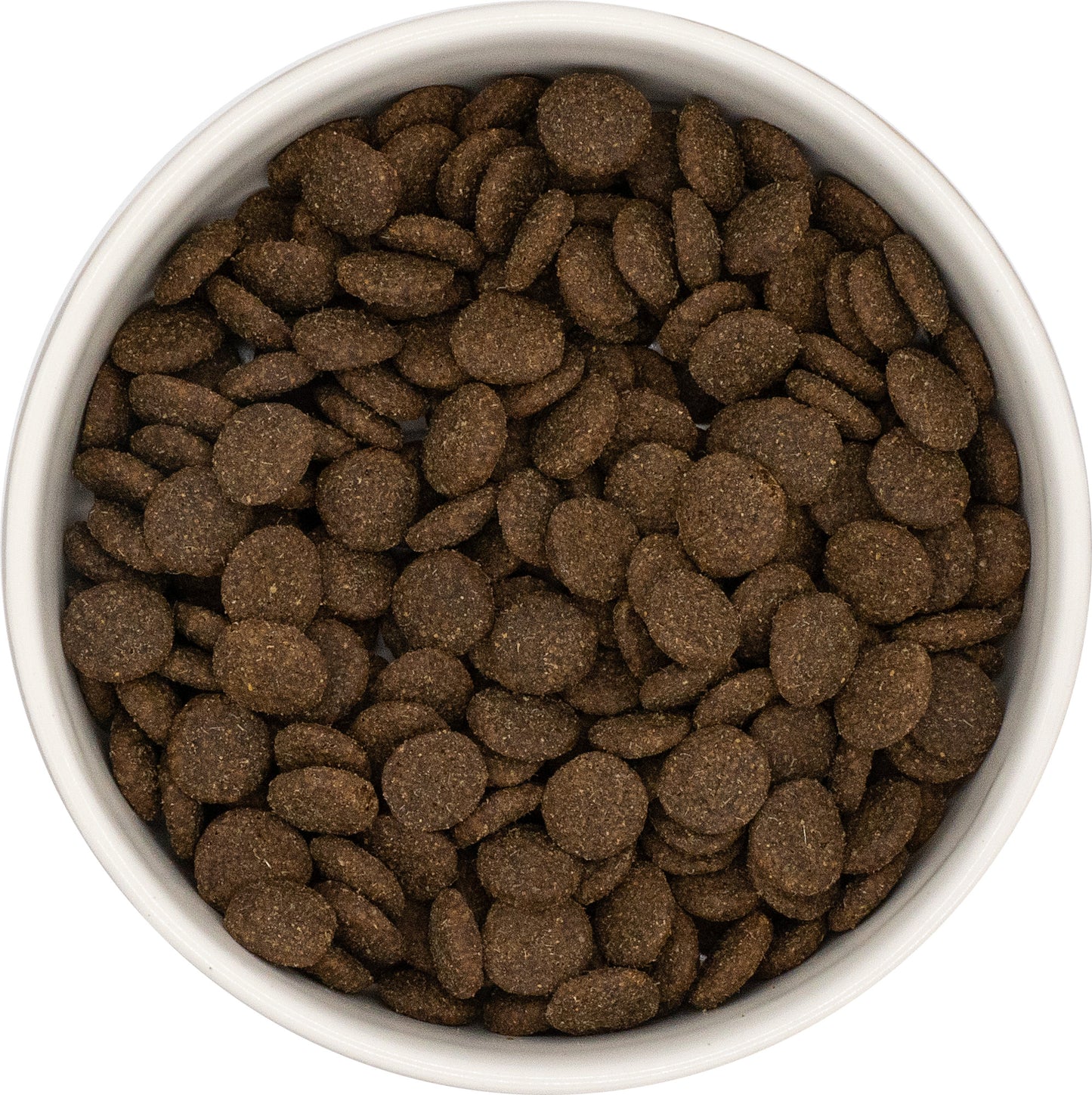 Country Hound Adult Dog Lamb