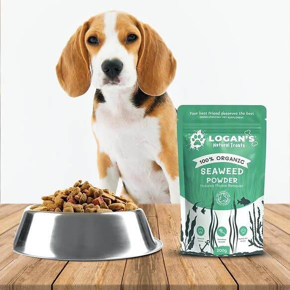 Organic Seaweed Powder - Dental Hygiene Supplement