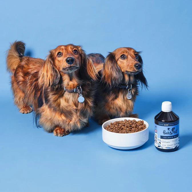 Pooch & Mutt Salmon Oil