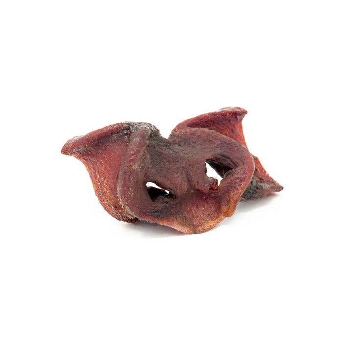 Pig Snout 1pc