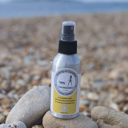 Dog Sunshine Cologne | Dog Walking Cologne | Bella's Box