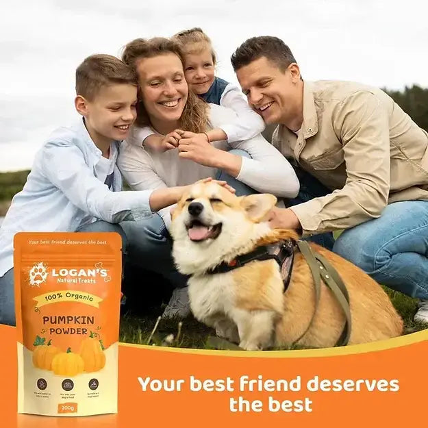 Organic Pumpkin Powder - Digestion Supplement