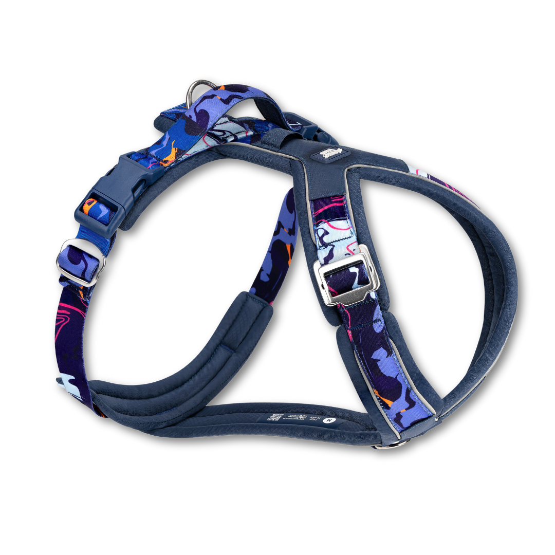 Apex Harness - Nebula