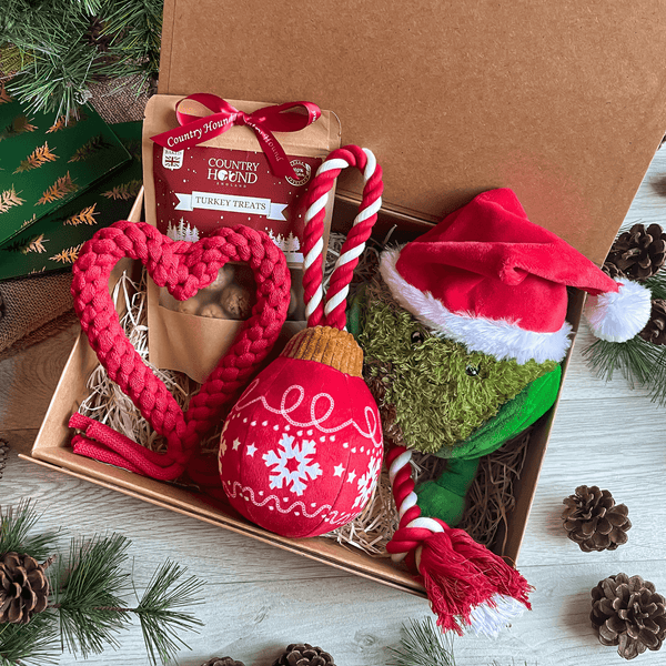 The Christmas Toy Box
