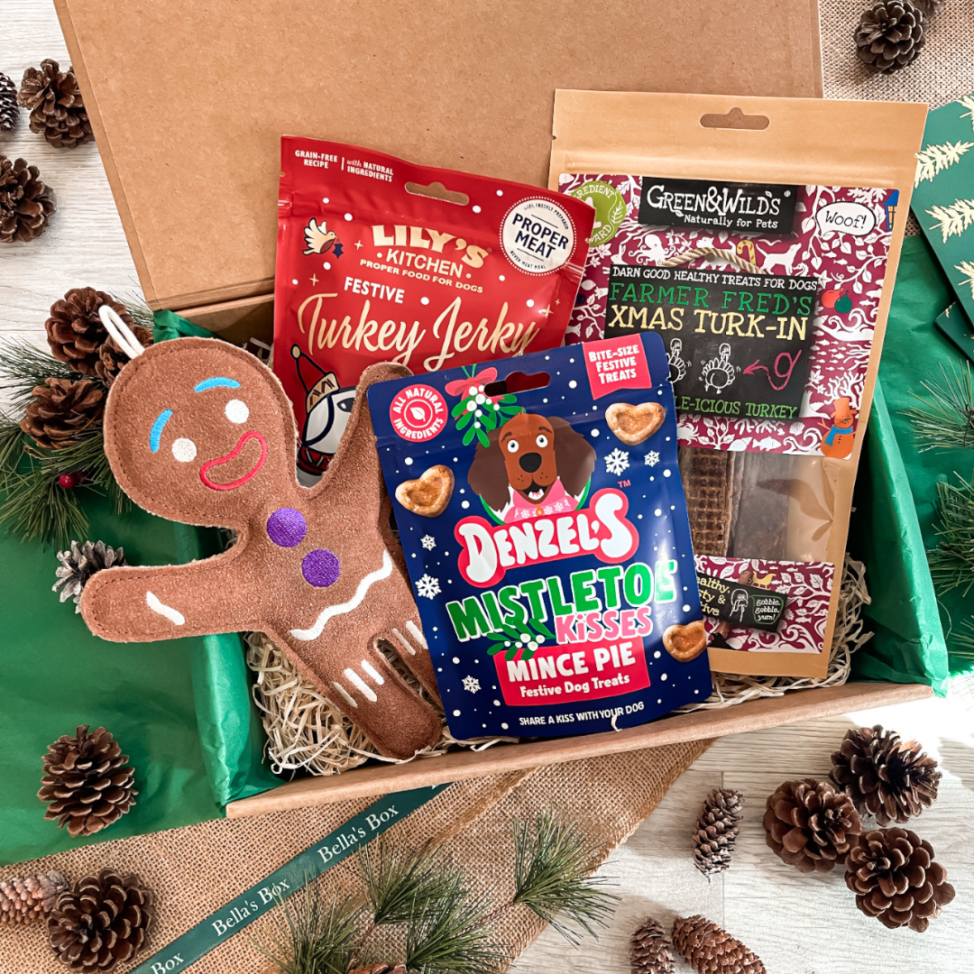 The Dog's Christmas Goodie Box