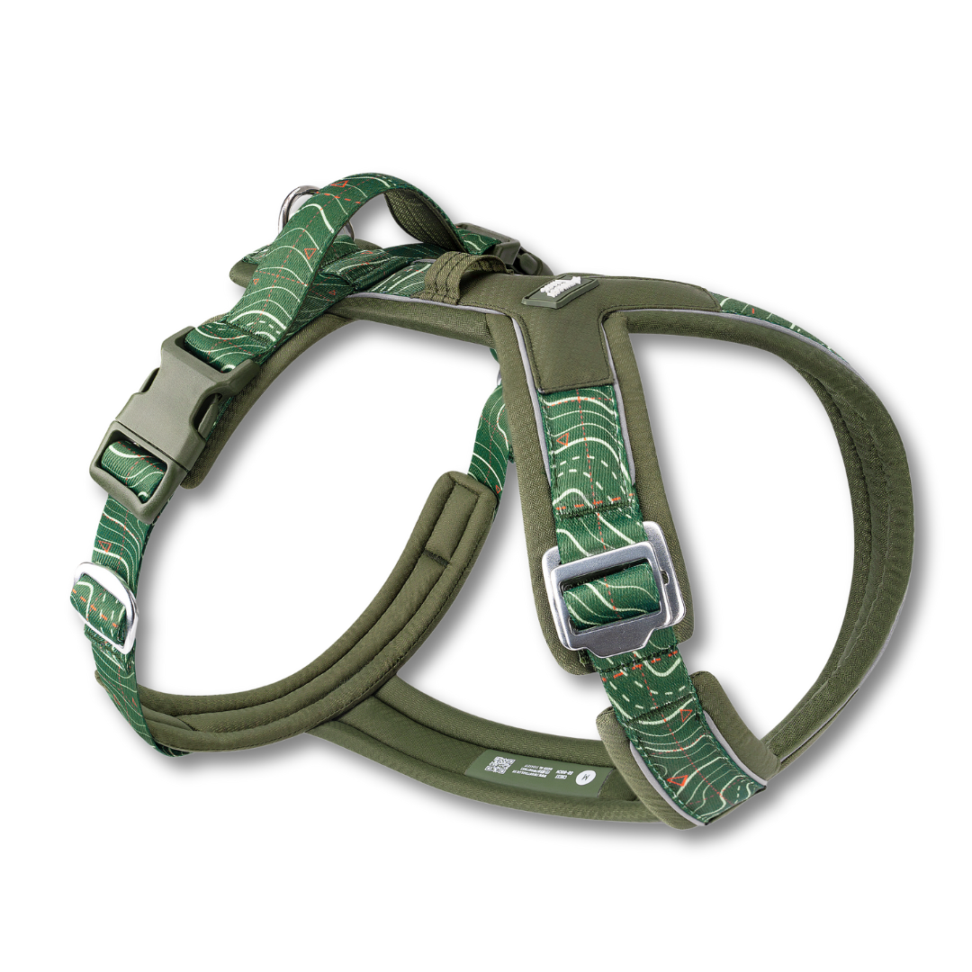 Apex Harness - Nomad