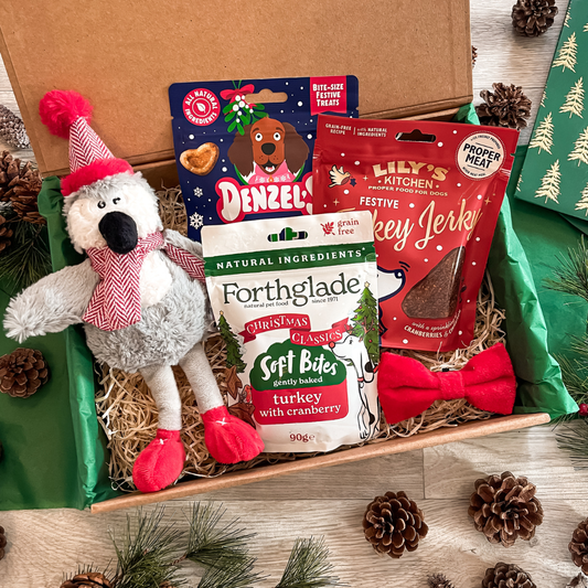 The Winter Penguin Gift Box