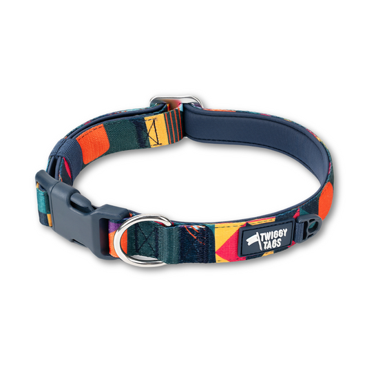 Twiggy Tags Adventure Collar 2.0 - Aurora