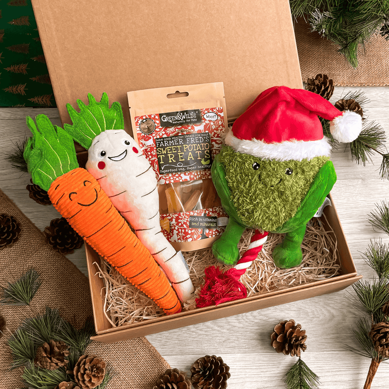 The Festive Veggie Dog Toy Box