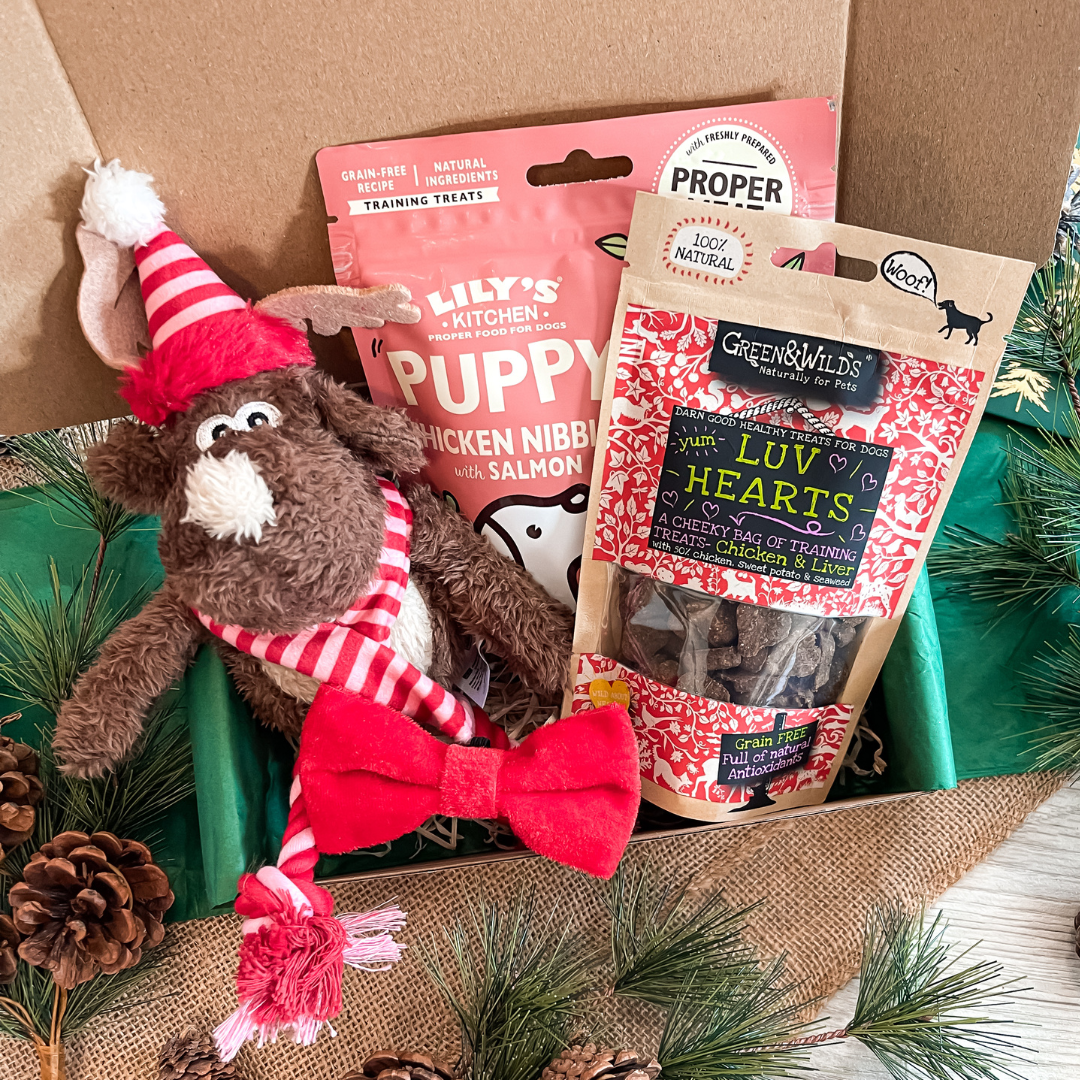 The Puppy Christmas Gift Box