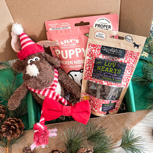 The Puppy Christmas Gift Box