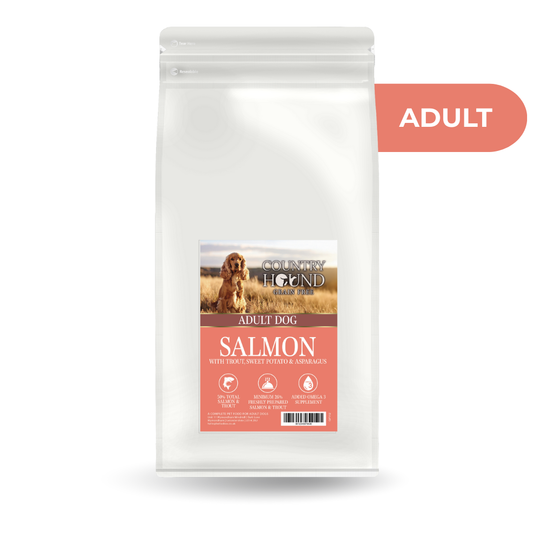 Country Hound Adult Dog Salmon