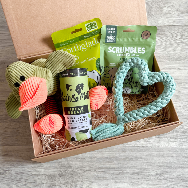 The Deluxe Green Dog Gift Box