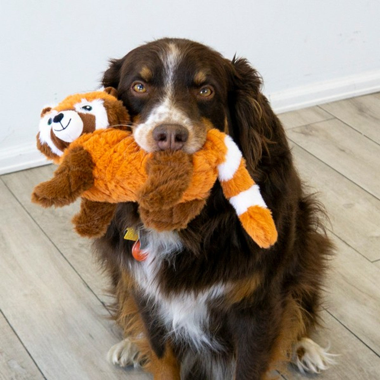 KONG Scampers Red Panda