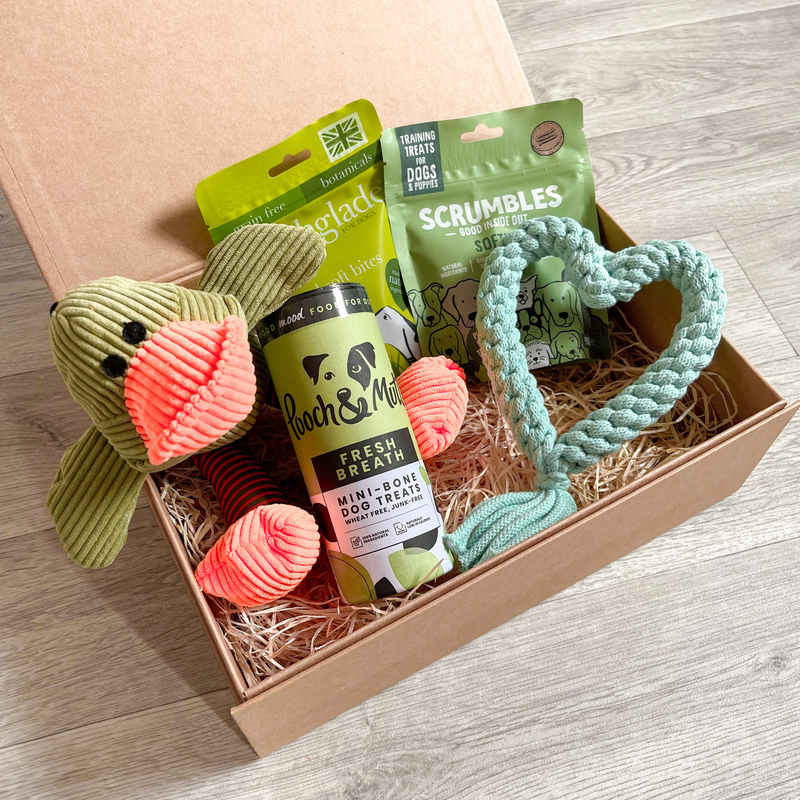 The Deluxe Green Dog Gift Box