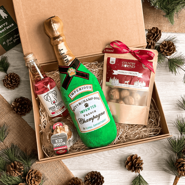 The Posh Pooch Christmas Party Box
