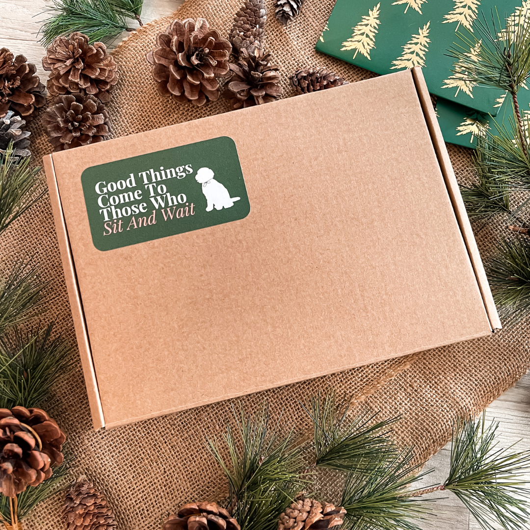 The Puppy Christmas Gift Box