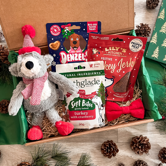 The Winter Polar Bear Gift Box