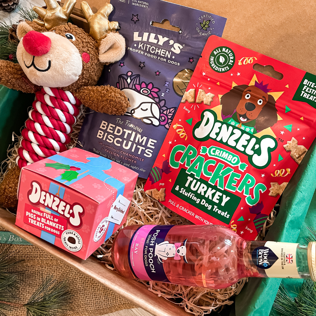 The Dog's Christmas Eve Box