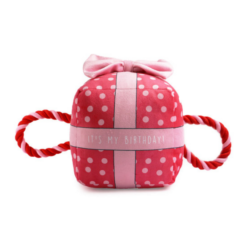 Ancol Pawty Time Birthday Present Toy - Pink