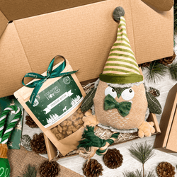 The Winter Woodland Dog Gift Box