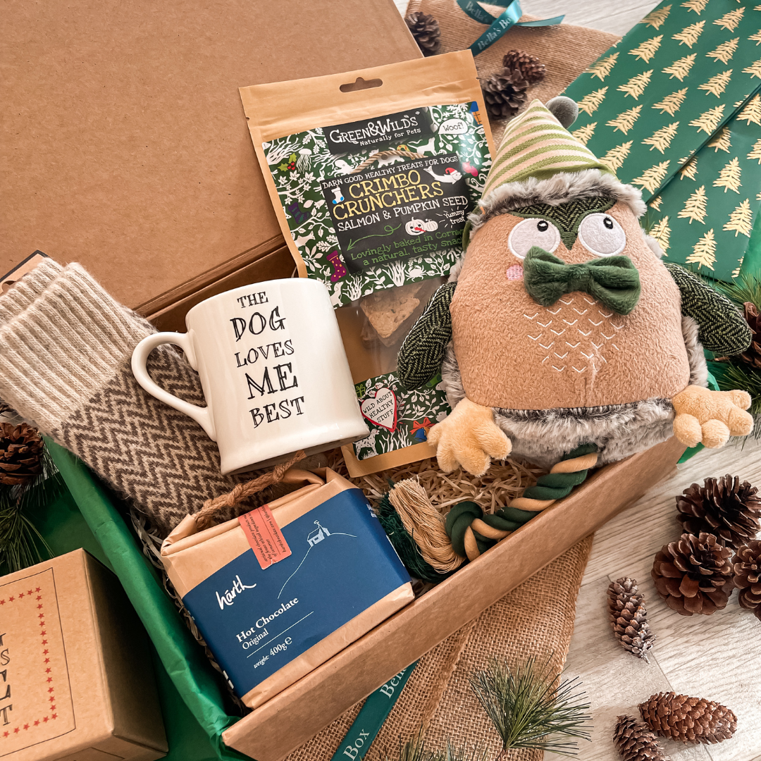 The Dog & Owners Christmas Gift Box
